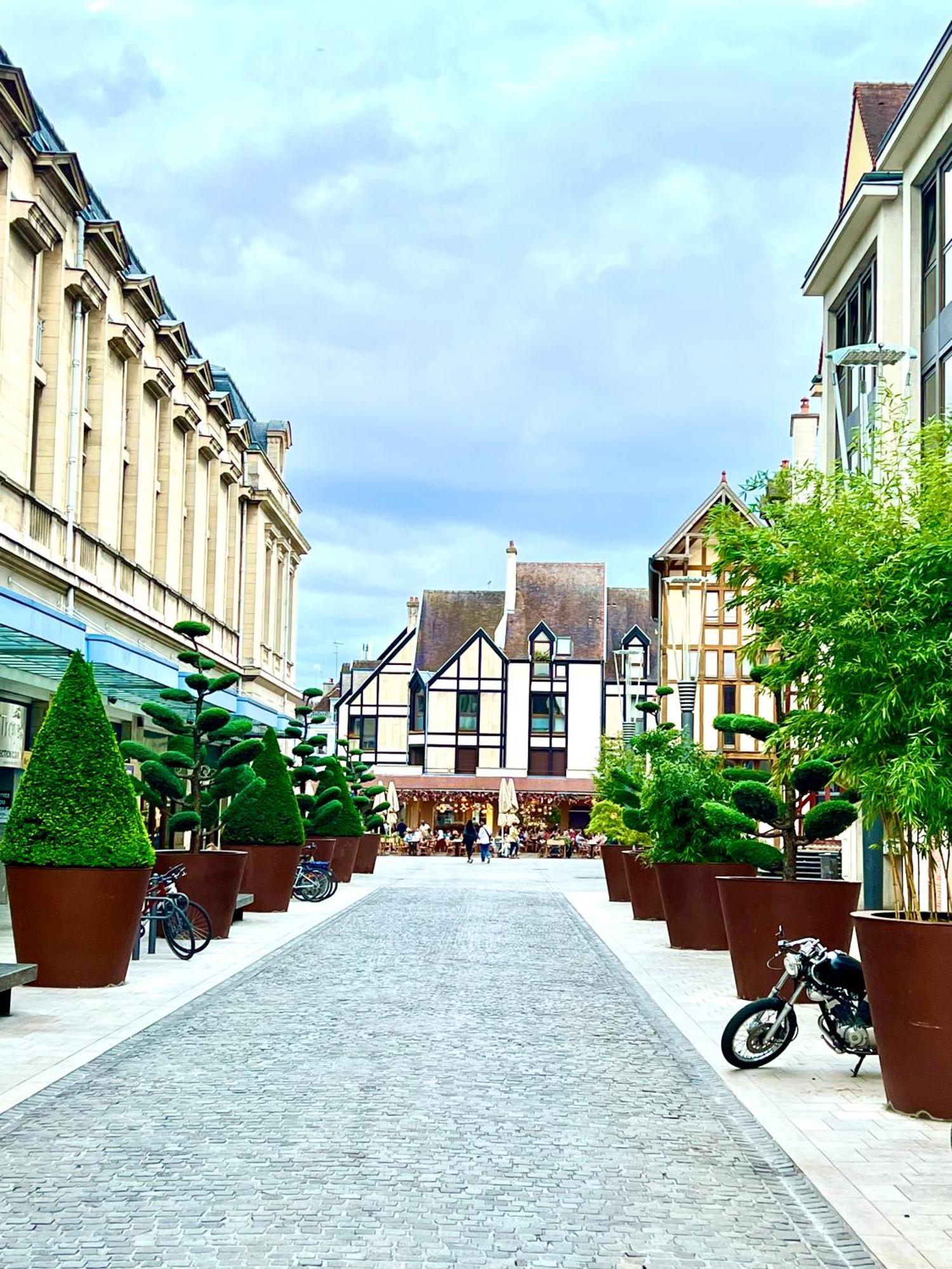 Spa Et Sauna Luxueux Hyper Centre Troyes Exterior foto